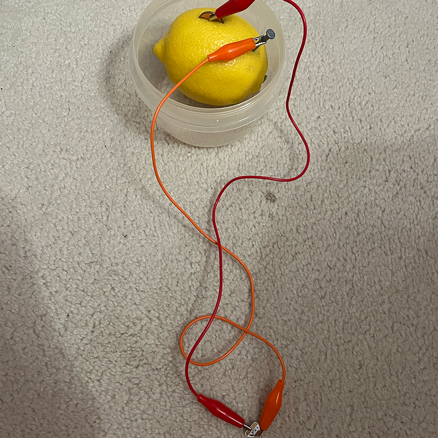 This was the final circuit. I'm sure it worked but I read online that you need a lot of lemons for the light to even show up faint, and I only had one lemon on me