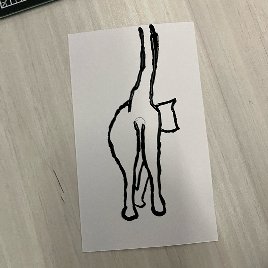Next, we painted a cat using conductive paint