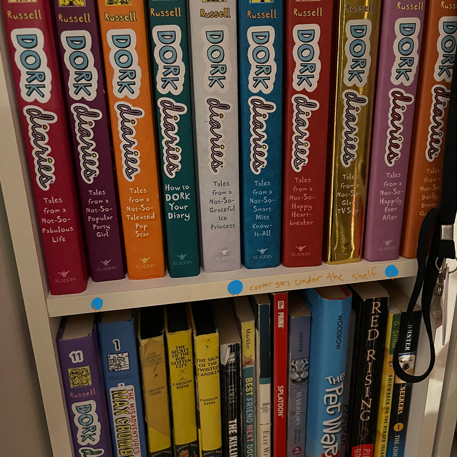 Adding a light to a bookshelf to make it easier to look at books