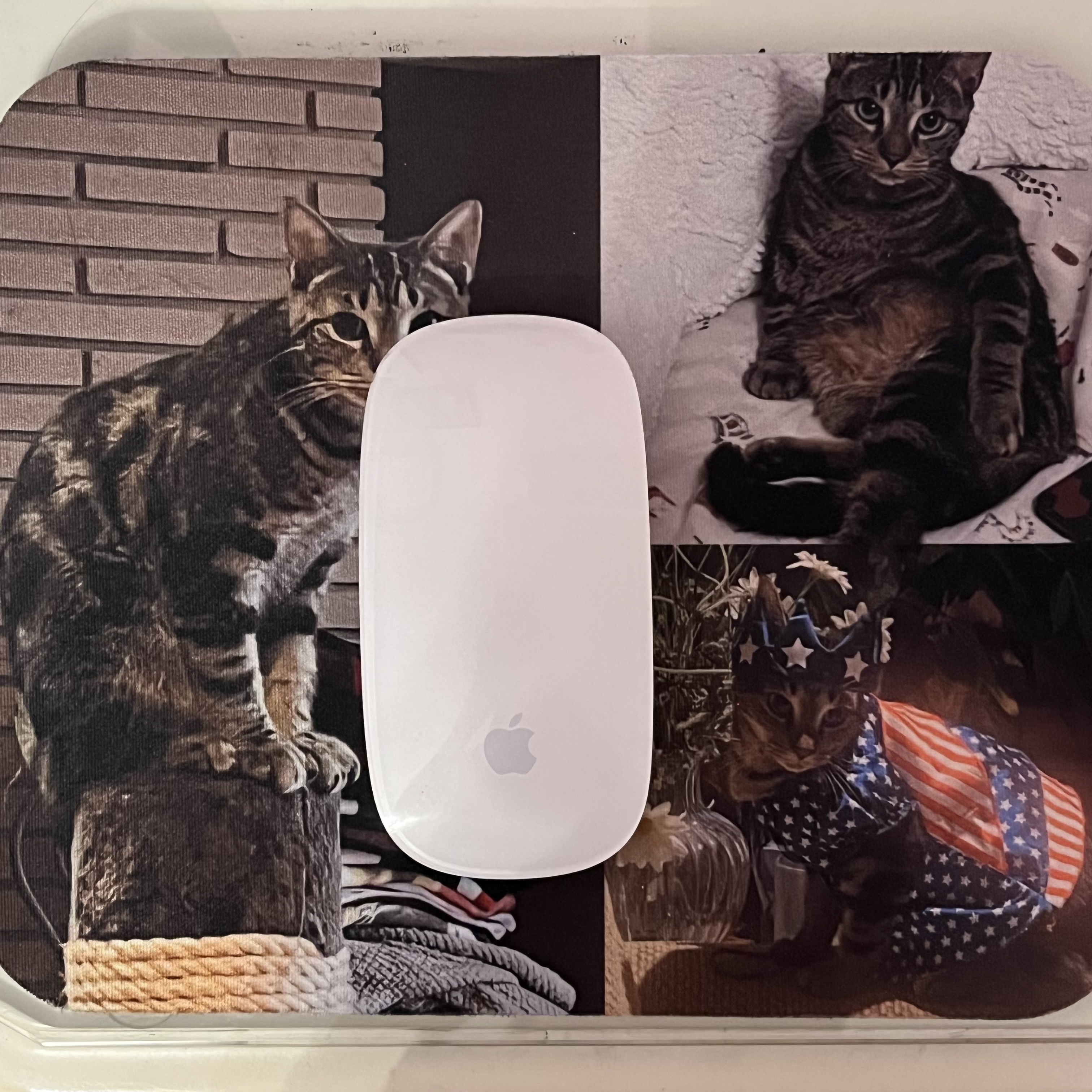 The sound of clicking my computer mouse